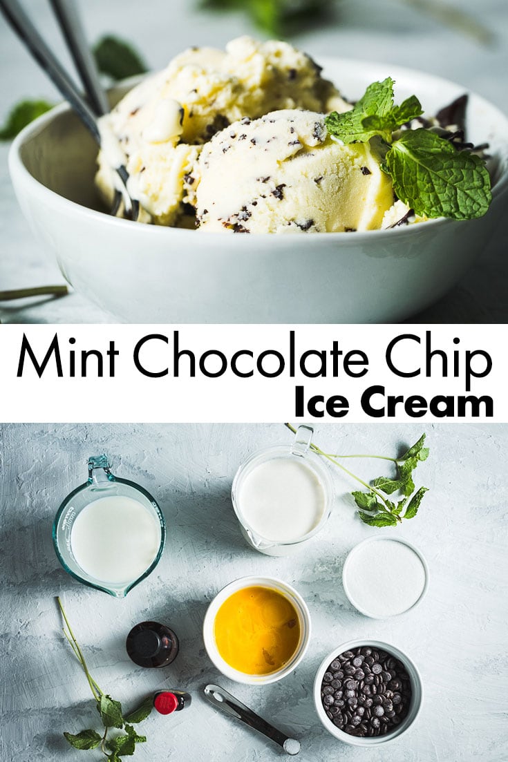 mint chocolate chip ice cream