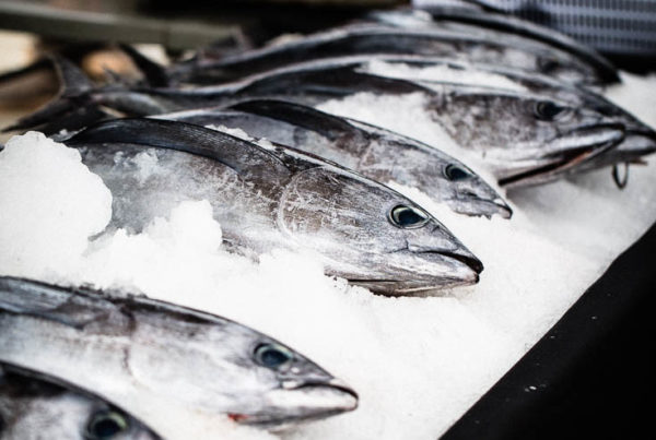 Tuna at the San Diego Tuna Harbor Dockside Market