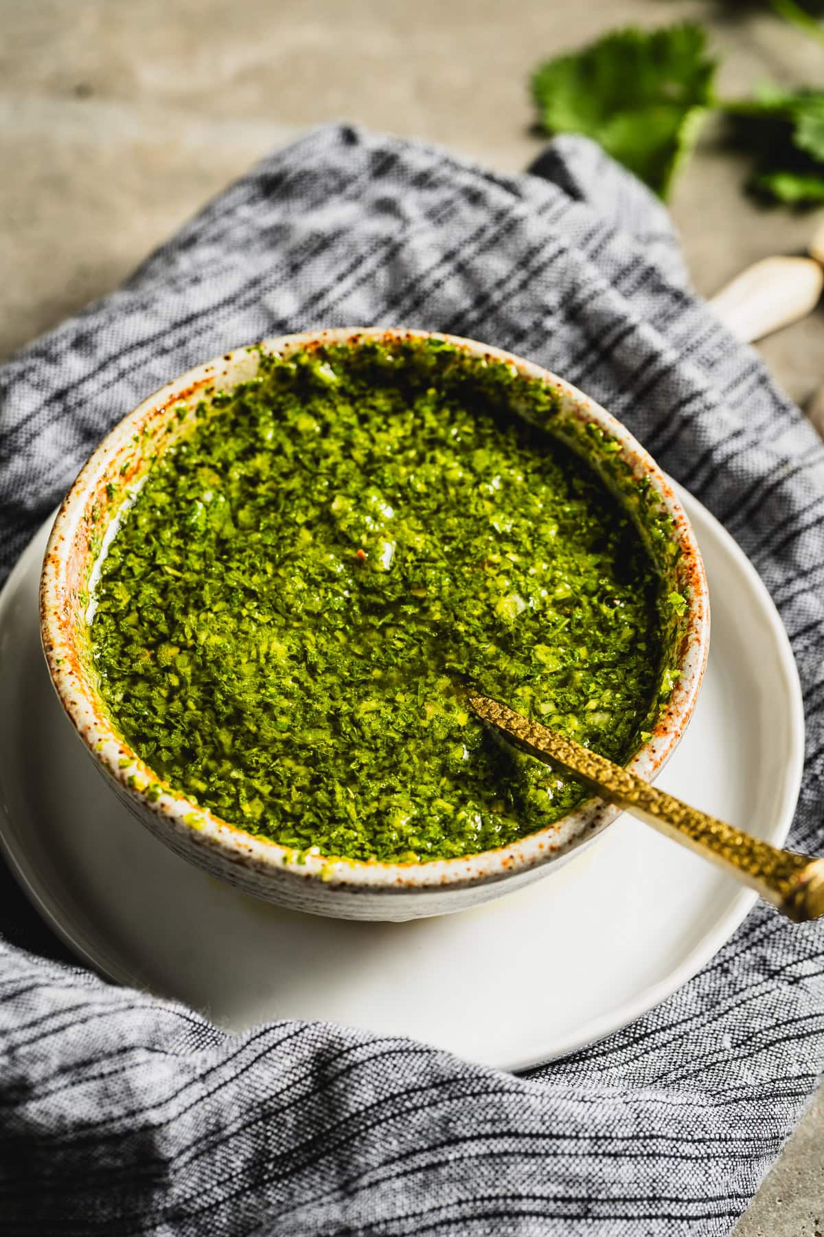 chimichurri sauce in bowl with a gold spoon