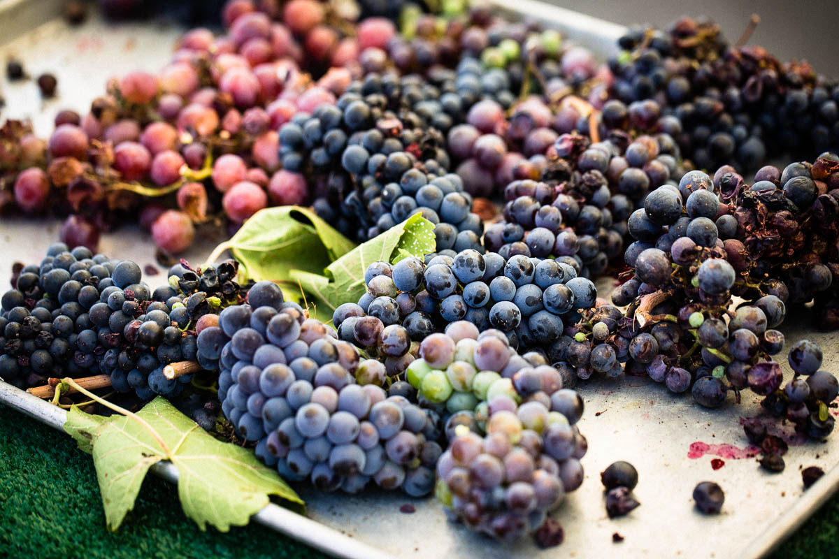 grapes at farmers market