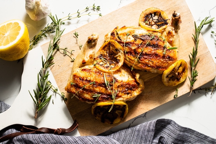 grilled chicken breast overhead horizontal