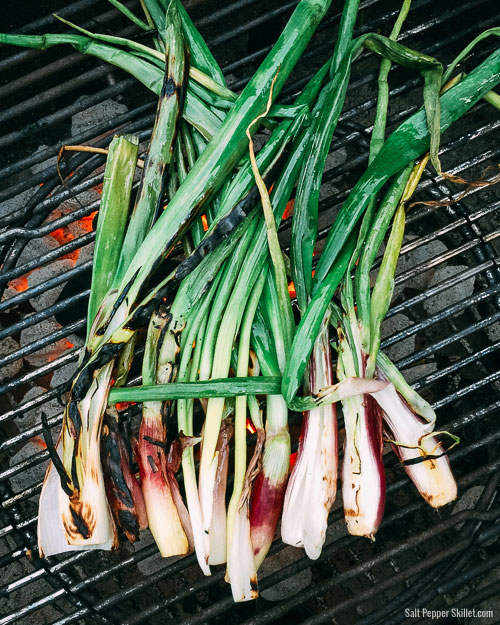 Grilled Spring Onions