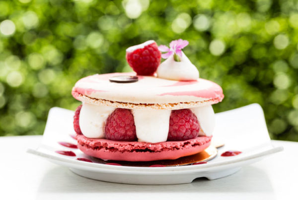 le parfait paris ludis macaron horizontal