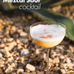 mezcal sour cocktail