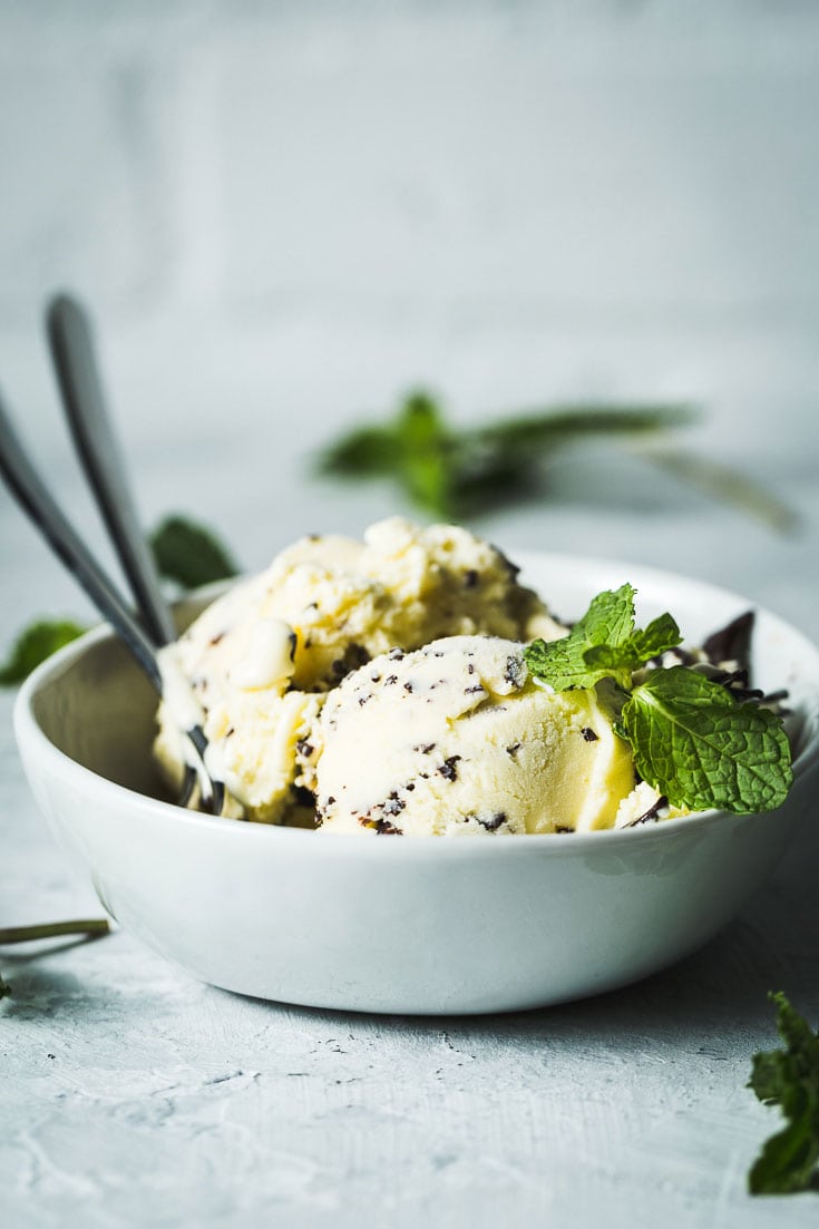 mint chocolate chip ice cream horizontal verical