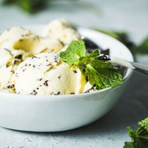 mint chocolate chip ice cream in bowl horizontal 2