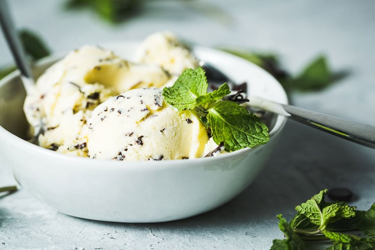 mint chocolate chip ice cream in bowl horizontal 2