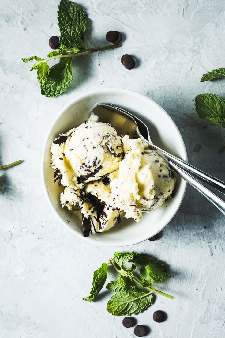 mint chocolate chip ice cream in bowl vertical overhead