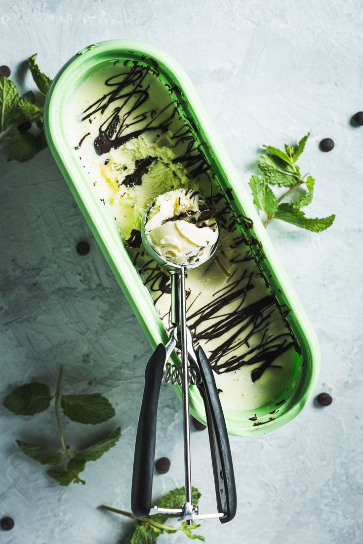 mint chocolate chip ice cream in container overhead