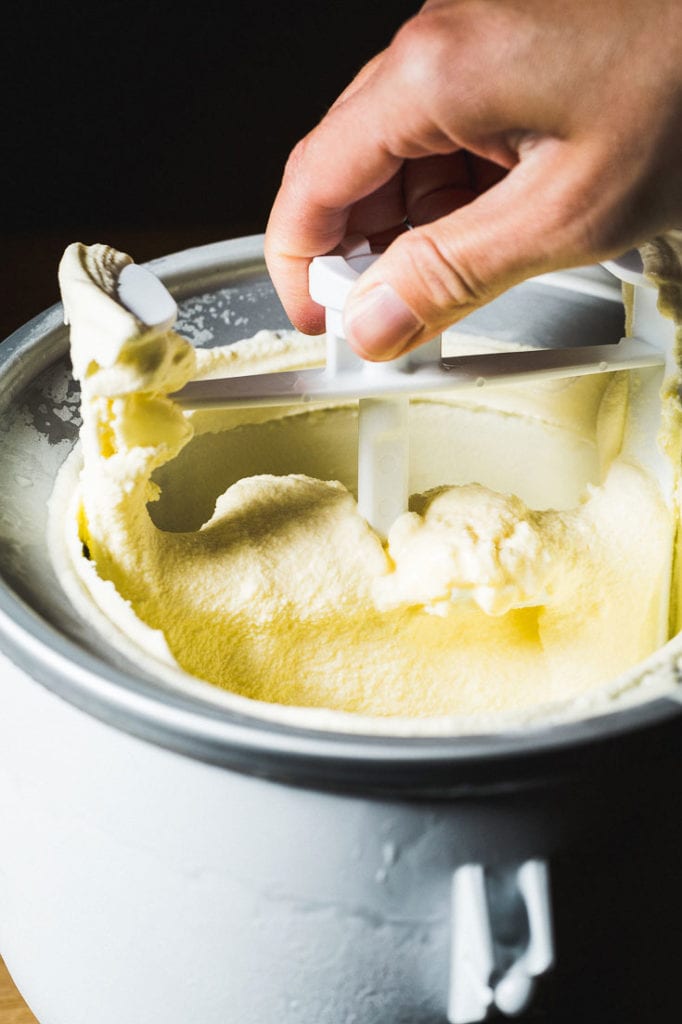 mint chocolate chip ice cream maker