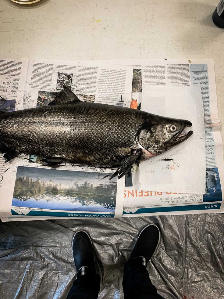 salmon fish printing