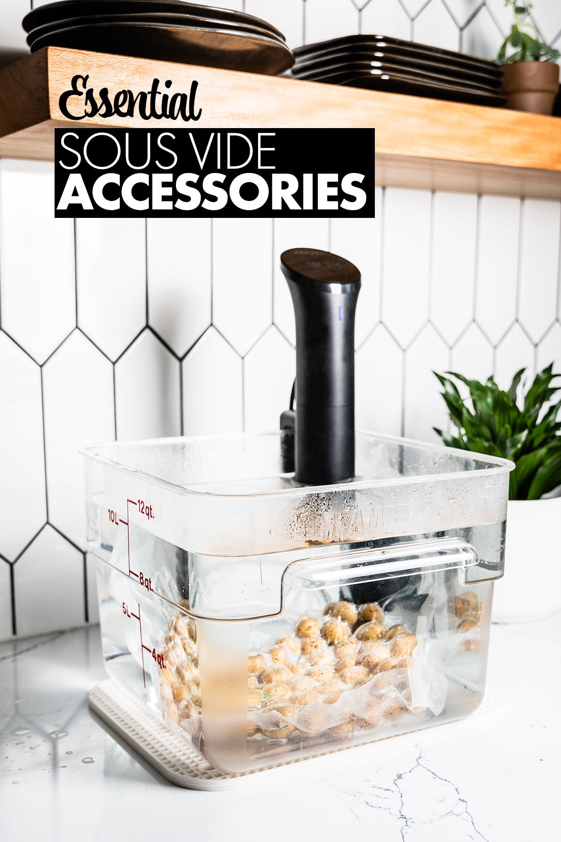 Sous Vide machines and accessories – Bec's Table