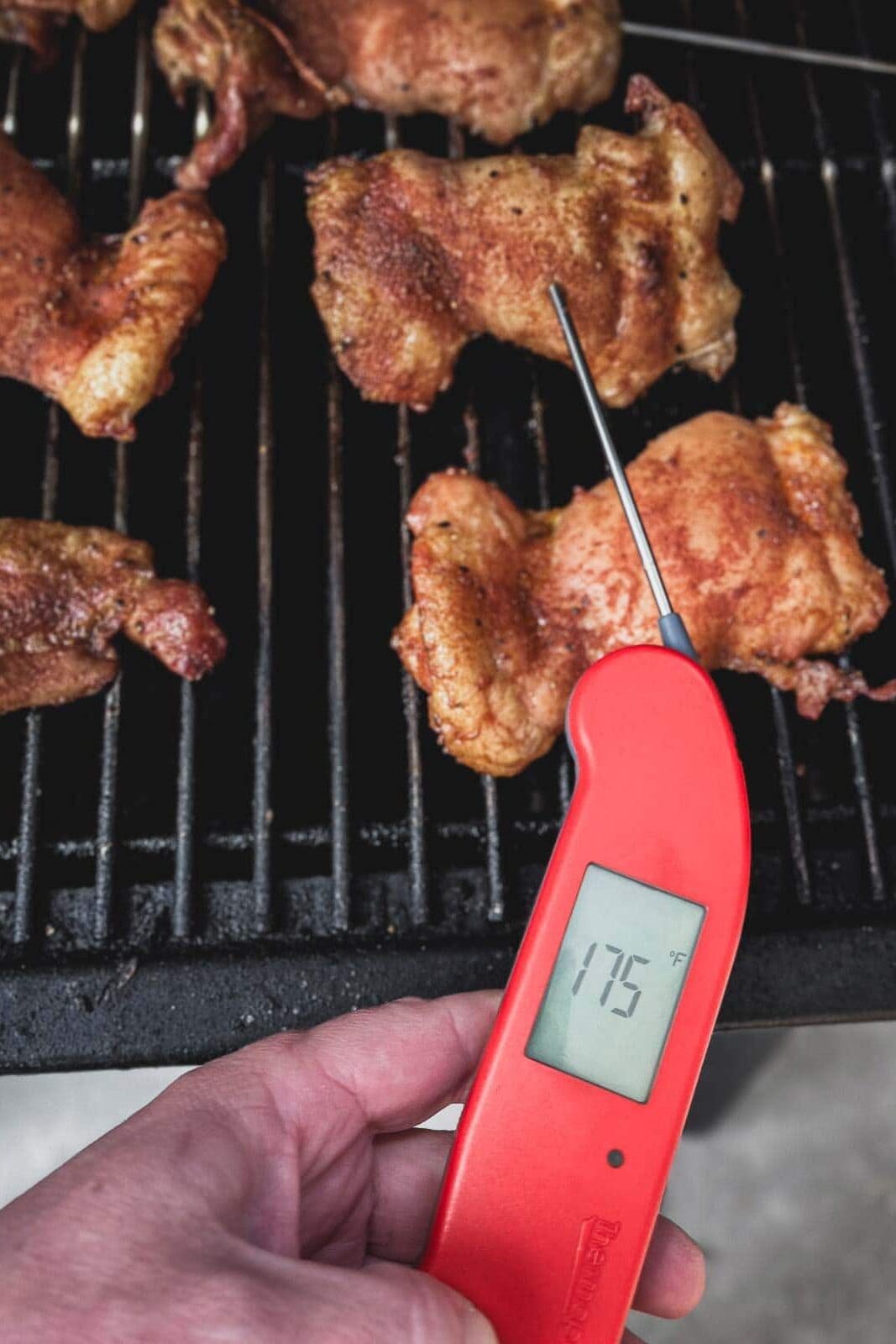 thermapen thermometer check for bbq pulled chicken
