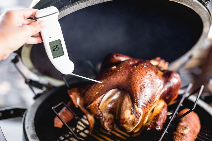 thermometer testing smoked turkey