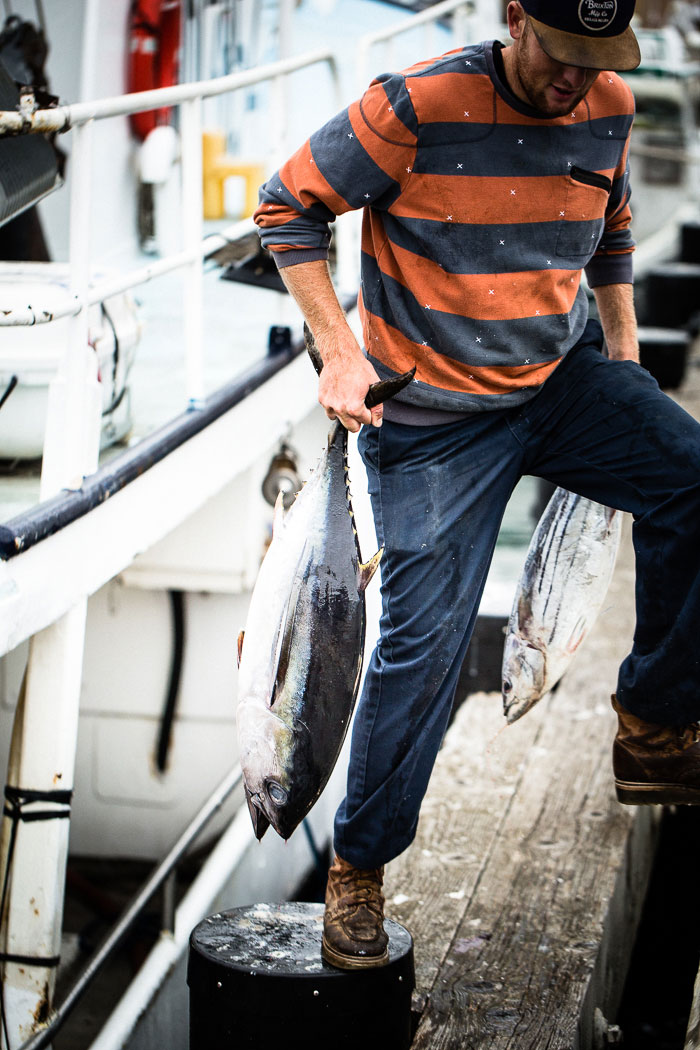 tuna dockside market offloading tuna
